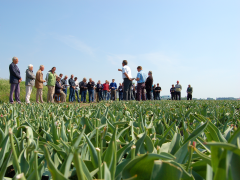 Highlighted image: Extra groene veiling CNB veilingteam